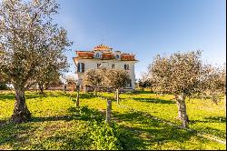 13 Bedroom Farm, Évora