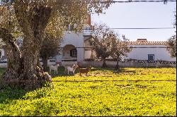 13 Bedroom Farm, Évora