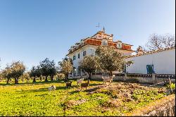 13 Bedroom Farm, Évora