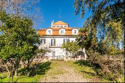 13 Bedroom Farm, Évora