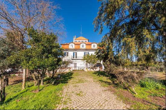 13 Bedroom Farm, evora