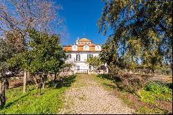 13 Bedroom Farm, evora