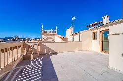 Outstanding New Duplex-Penthouse With Private Roof Top Terrace