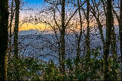 THE ORCHARD OF MAYVIEW - BLOWING ROCK