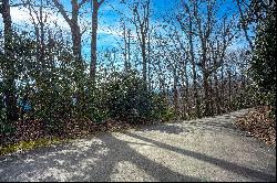 THE ORCHARD OF MAYVIEW - BLOWING ROCK