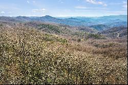 THE ORCHARD OF MAYVIEW - BLOWING ROCK