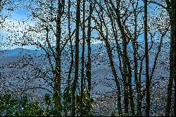 THE ORCHARD OF MAYVIEW - BLOWING ROCK