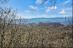 THE ORCHARD OF MAYVIEW - BLOWING ROCK