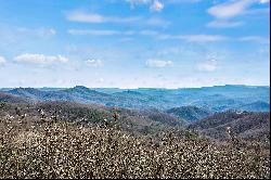THE ORCHARD OF MAYVIEW - BLOWING ROCK