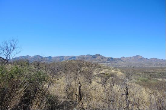 Rio Rico Estates East