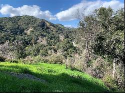 0 Vacant Lot, Topanga CA 90290