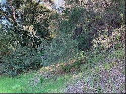 0 Vacant Lot, Topanga CA 90290