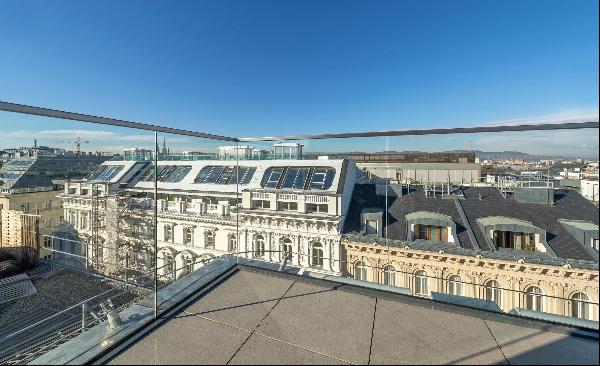 Superb 1-bedroom penthouse with terrace in the first district of Vienna.