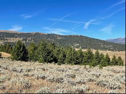 200 Mountain View Trail, White Sulphur Springs MT 59645