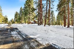 Gorgeous forested lot