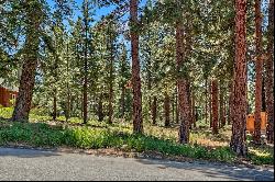 Gorgeous forested lot