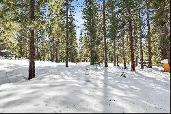 Gorgeous forested lot