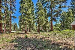 Gorgeous forested lot