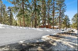 Gorgeous forested lot