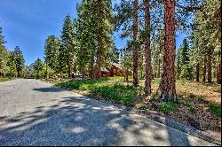 Gorgeous forested lot