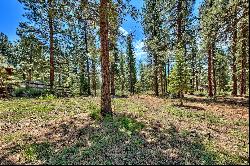 Gorgeous forested lot