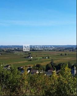 Beautiful vineyard estate of 1 ha in AOP Saint-Emilion for sale
