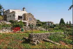 Small Farm, 8 bedrooms, for Sale