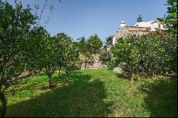 Small Farm, 8 bedrooms, for Sale