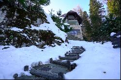 The Villa Next to the Gondola