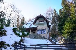 The Villa Next to the Gondola