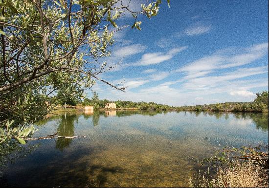 Monastic Country Estate of Ant