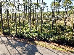 136 Marshmallow Ln Lot 483, St. Teresa FL 32358