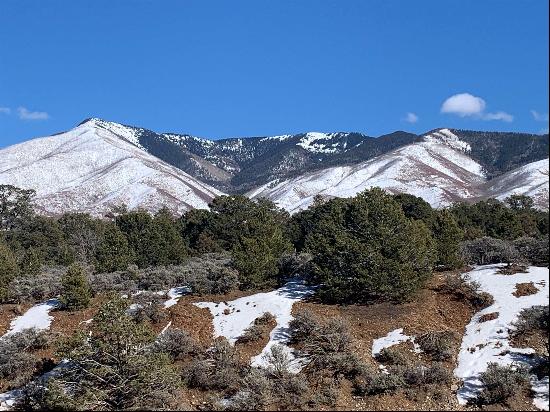 Forest Road 9, Lama NM 87556