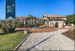 Luxurious villa with annexes surrounded by majestic centuries-old olive trees