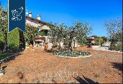 Luxurious villa with annexes surrounded by majestic centuries-old olive trees