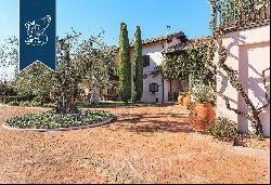 Luxurious villa with annexes surrounded by majestic centuries-old olive trees