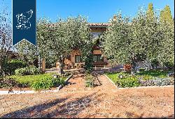 Luxurious villa with annexes surrounded by majestic centuries-old olive trees