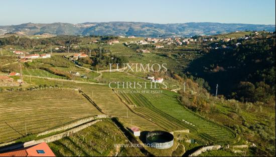 Property for sale in Lamego, in the Douro Valley, Portugal