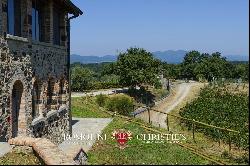 Chianti - ESTATE WITH VINEYARDS AND AGRITURISMO FOR SALE IN TUSCANY