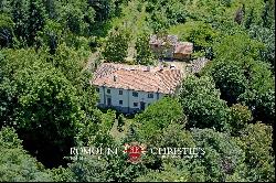 Tuscany - ELEGANT PERIOD VILLA WITH PARK FOR SALE IN TUSCANY