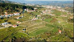 Property for sale in Lamego, in the Douro Valley, Portugal