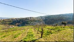 Property for sale in Lamego, in the Douro Valley, Portugal