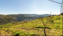 Property for sale in Lamego, in the Douro Valley, Portugal