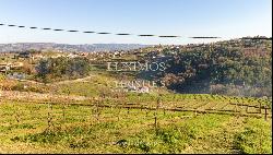 Property for sale in Lamego, in the Douro Valley, Portugal