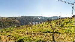 Property for sale in Lamego, in the Douro Valley, Portugal