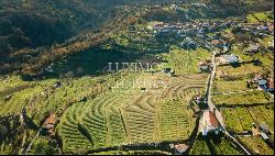 Property for sale in Lamego, in the Douro Valley, Portugal