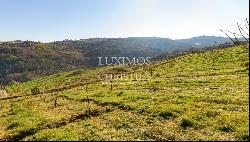 Property for sale in Lamego, in the Douro Valley, Portugal