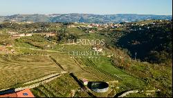 Property for sale in Lamego, in the Douro Valley, Portugal