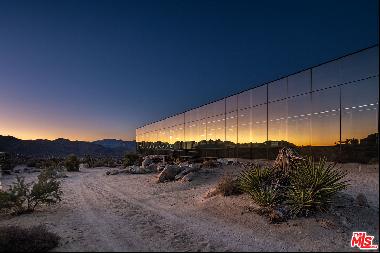 Joshua Tree