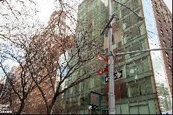 110 EAST 87TH STREET 2A in New York, New York
